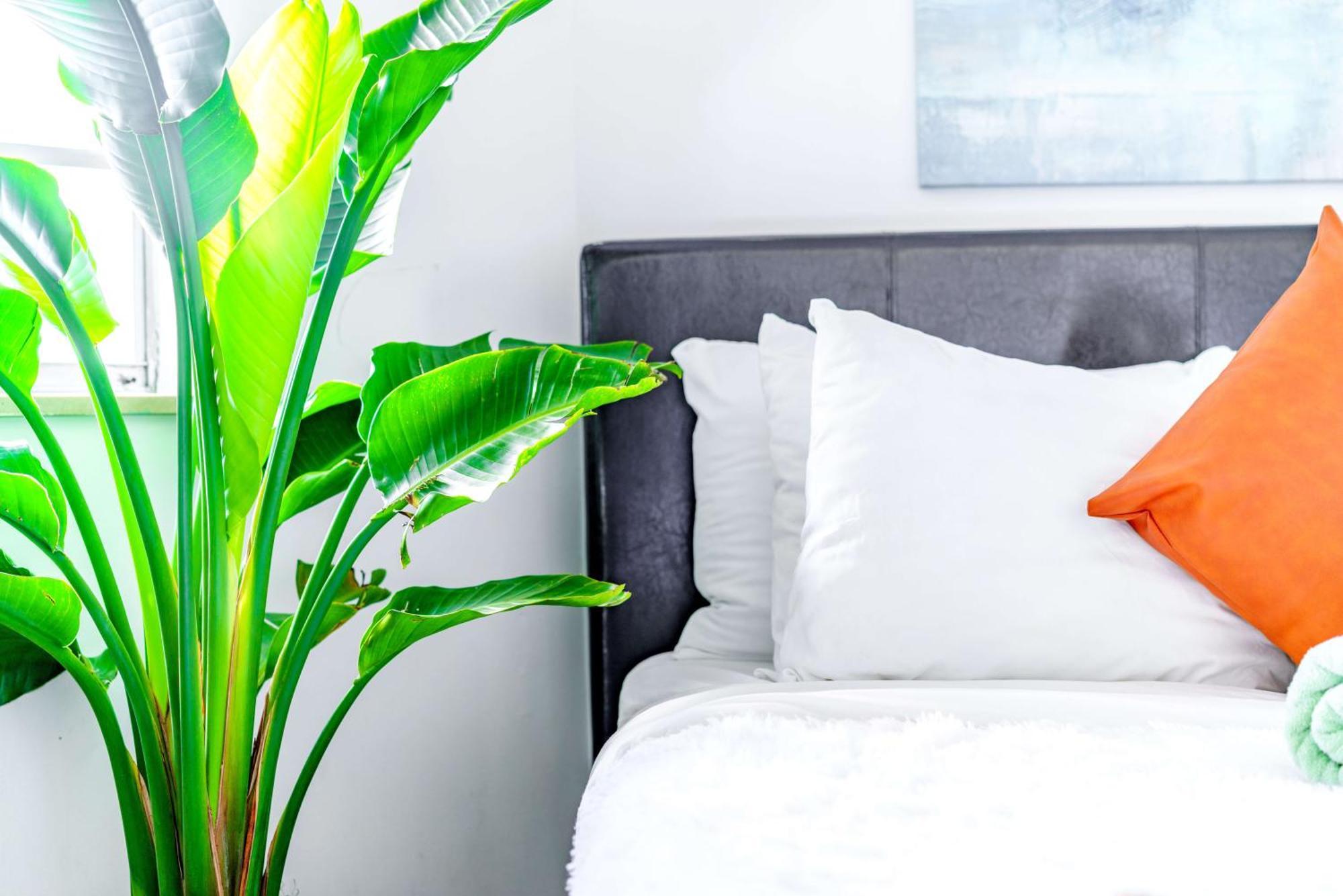 Apartamento Short North Convention Private Parking Pets Columbus Exterior foto